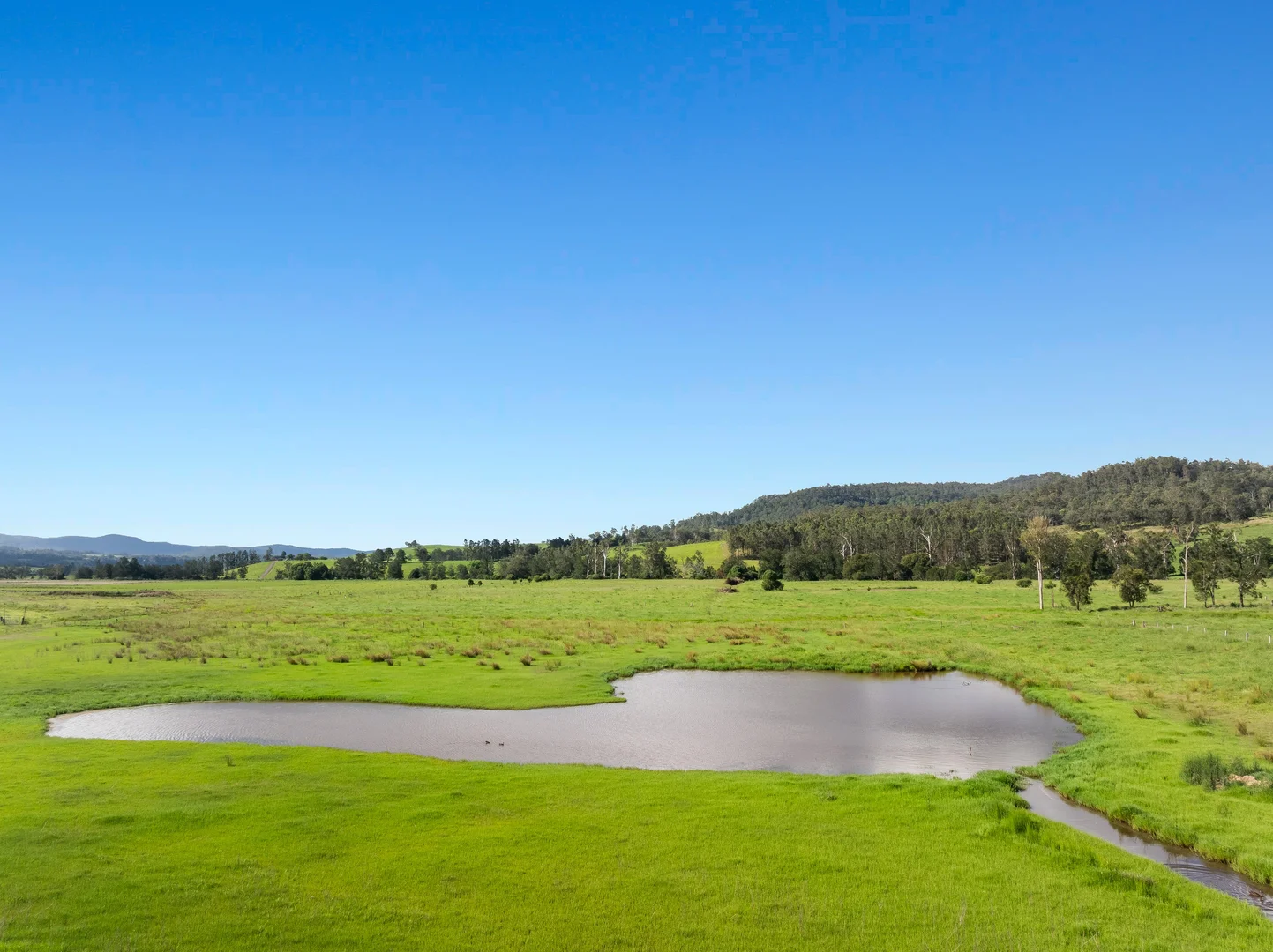 Additional image 15 of 119 Duck Creek Road, Old Bonalbo NSW 2469