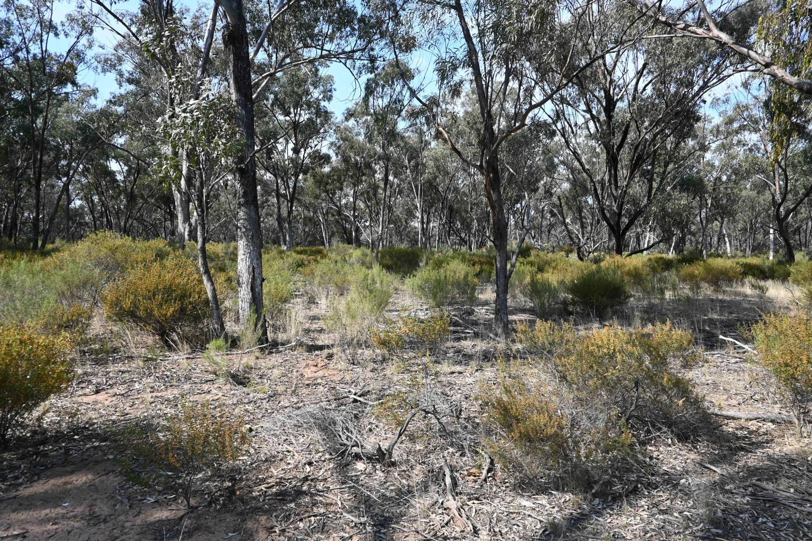 Additional image 2 of 17, A KURTING KINGOWER ROAD, Kingower VIC 3517