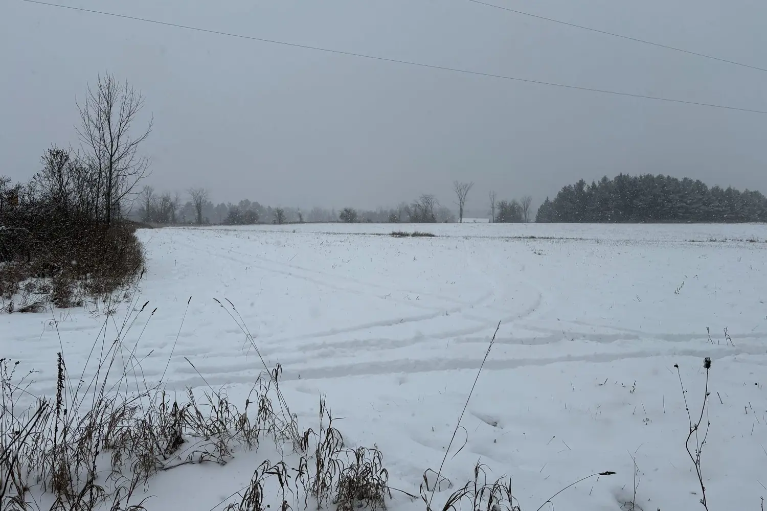 Additional image 6 of 0 Cooney Island Road