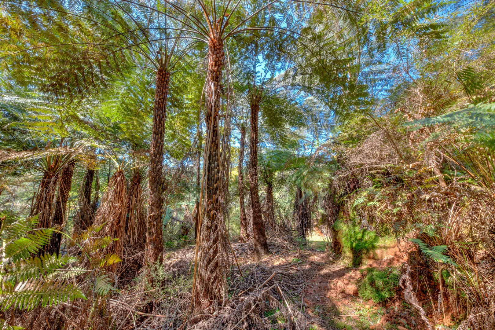 Additional image 19 of 42 Goldie Spur Track, Bright VIC 3741
