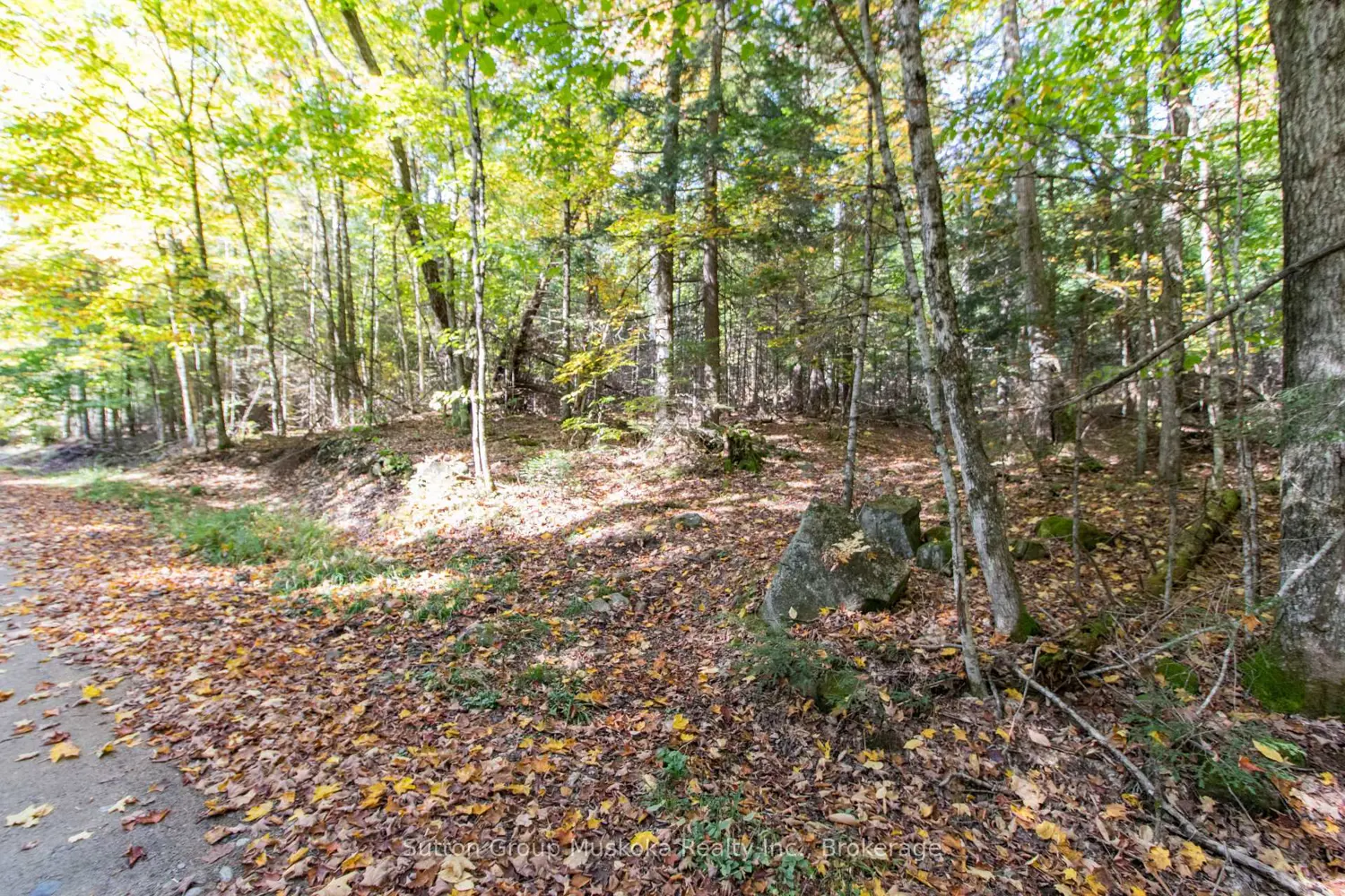 Additional image 6 of 0 Lynx Lake Road