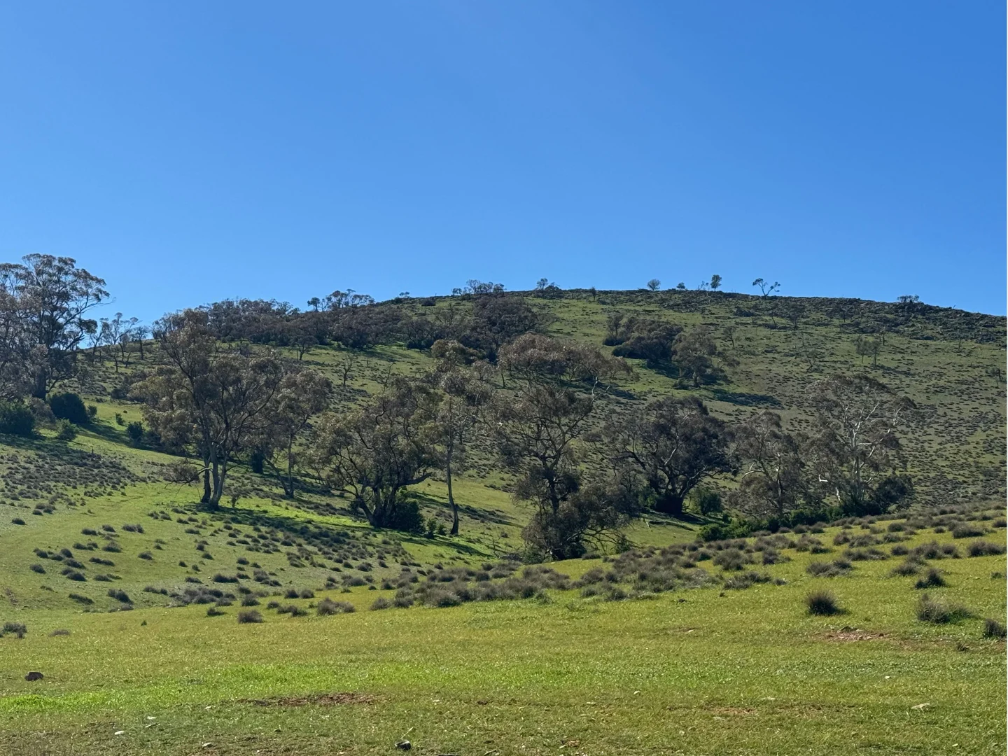 Additional image 9 of 235e Appila-Tarcowie Road, Tarcowie SA 5431