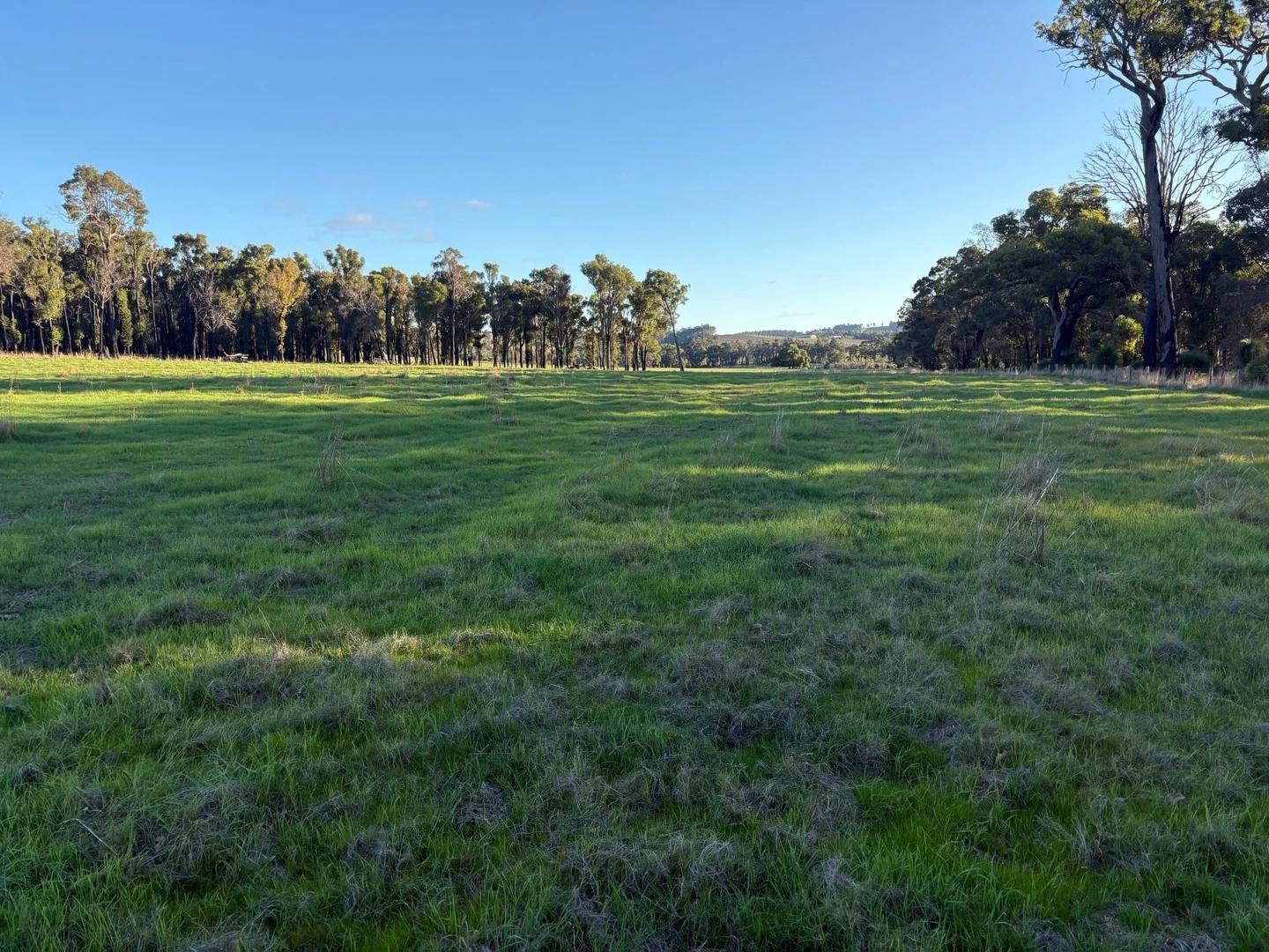 Lot 245 & Donnybrook-Boyup Brook Road, Glen Mervyn WA 6239