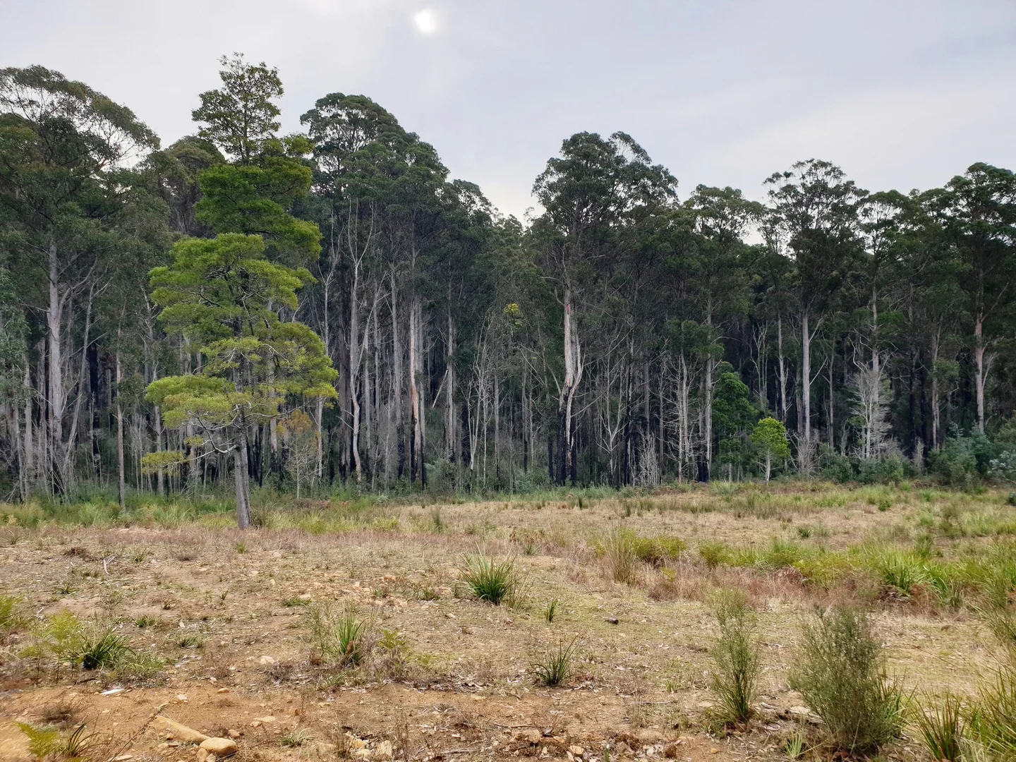 Additional image 3 of Lot 3 Costains Road, Geeveston TAS 7116