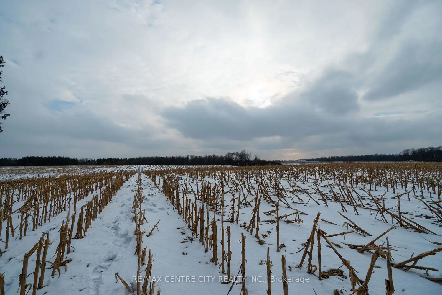 Additional image 17 of Pt Lt 24 Concession 5