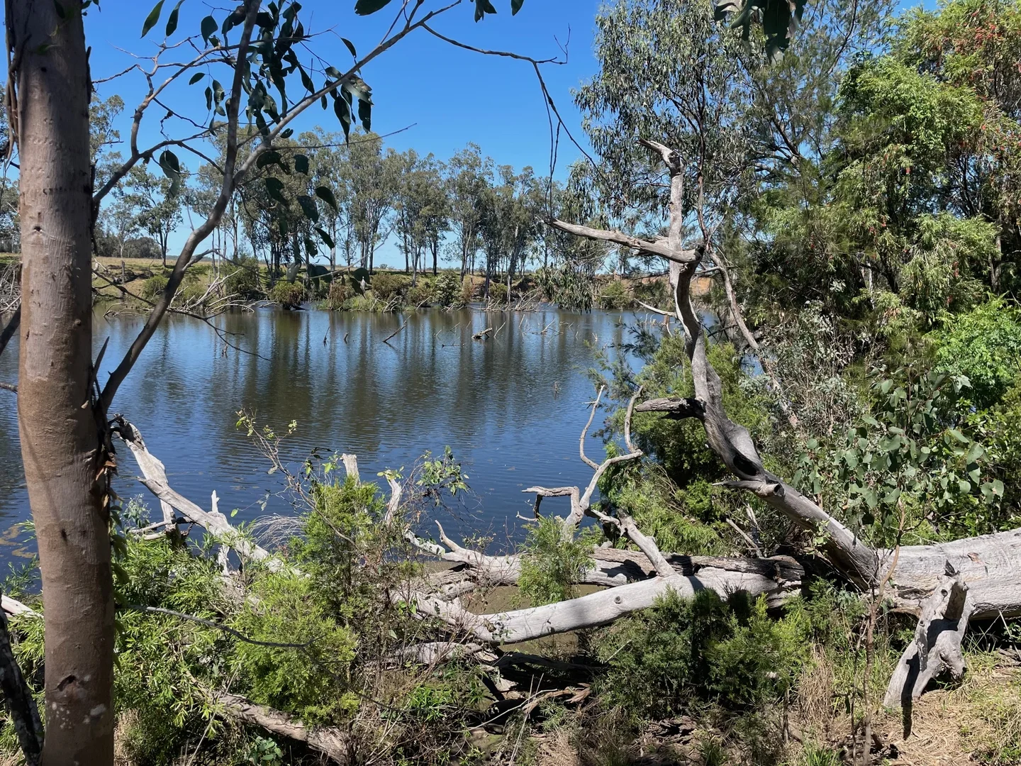 Additional image 7 of 8 Screening Plant Road, Cynthia QLD 4627