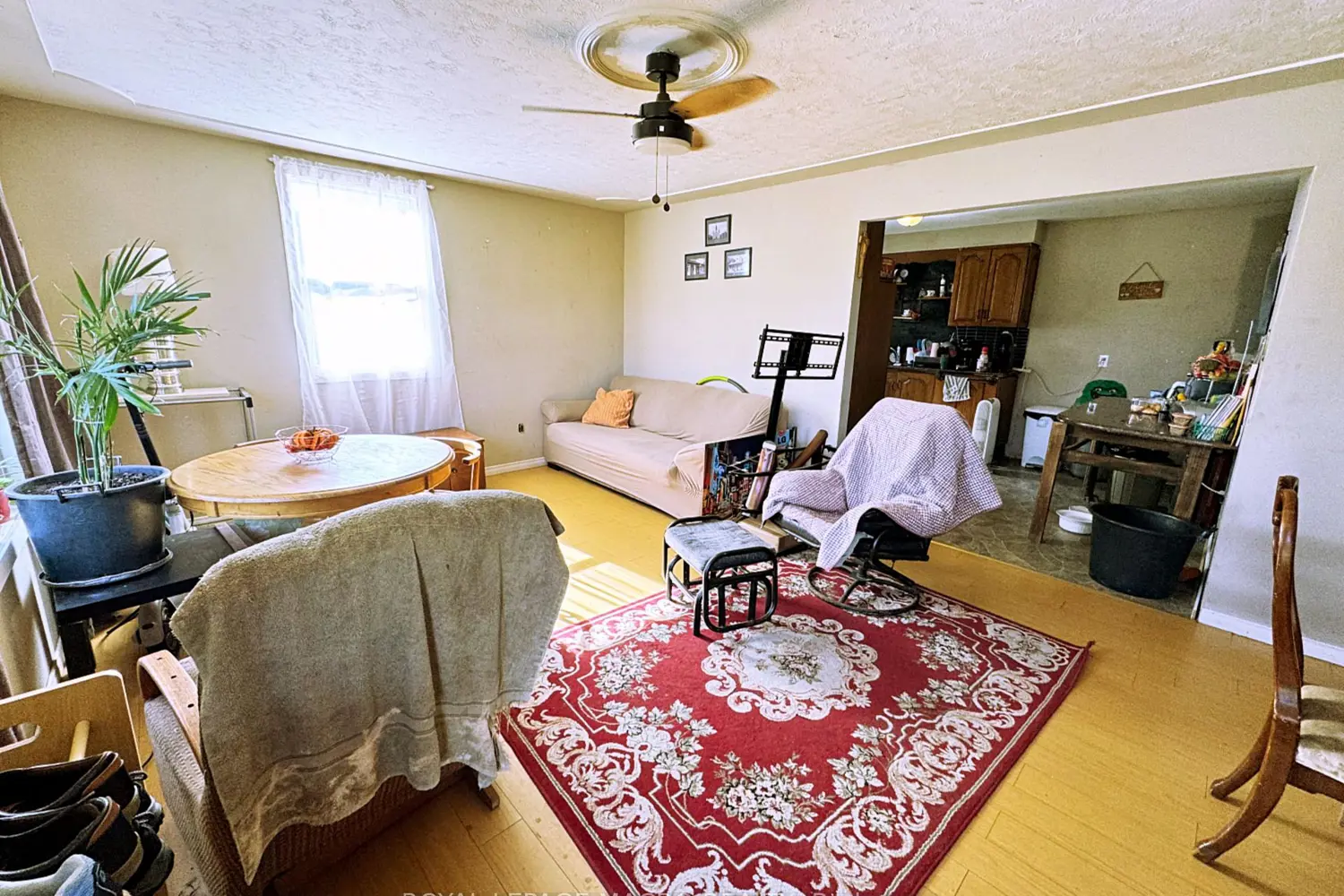 Additional image 6 of 128 Metcalf Street