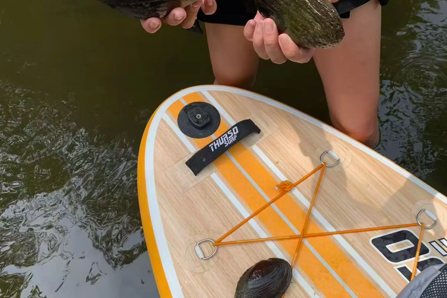 Additional image 20 of 357 Baldwin Road