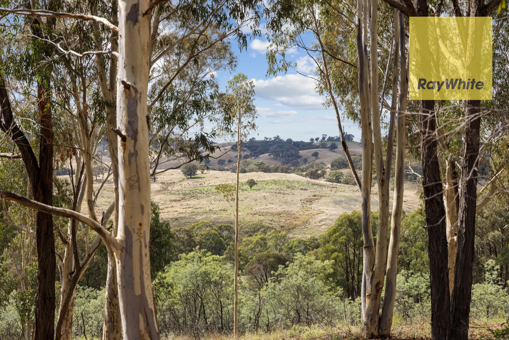 Additional image 9 of 1013 Bigga Road, Crooked Corner NSW 2583