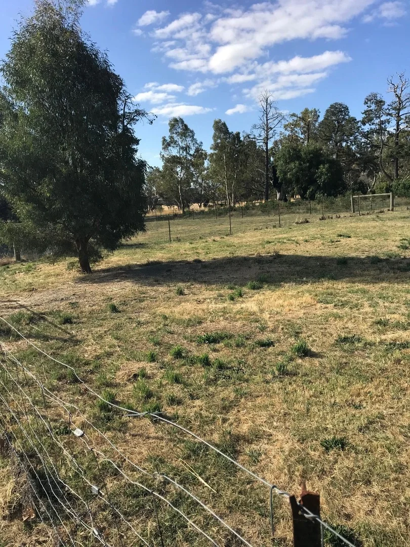 Additional image 5 of 80 High Street, Elmhurst VIC 3469