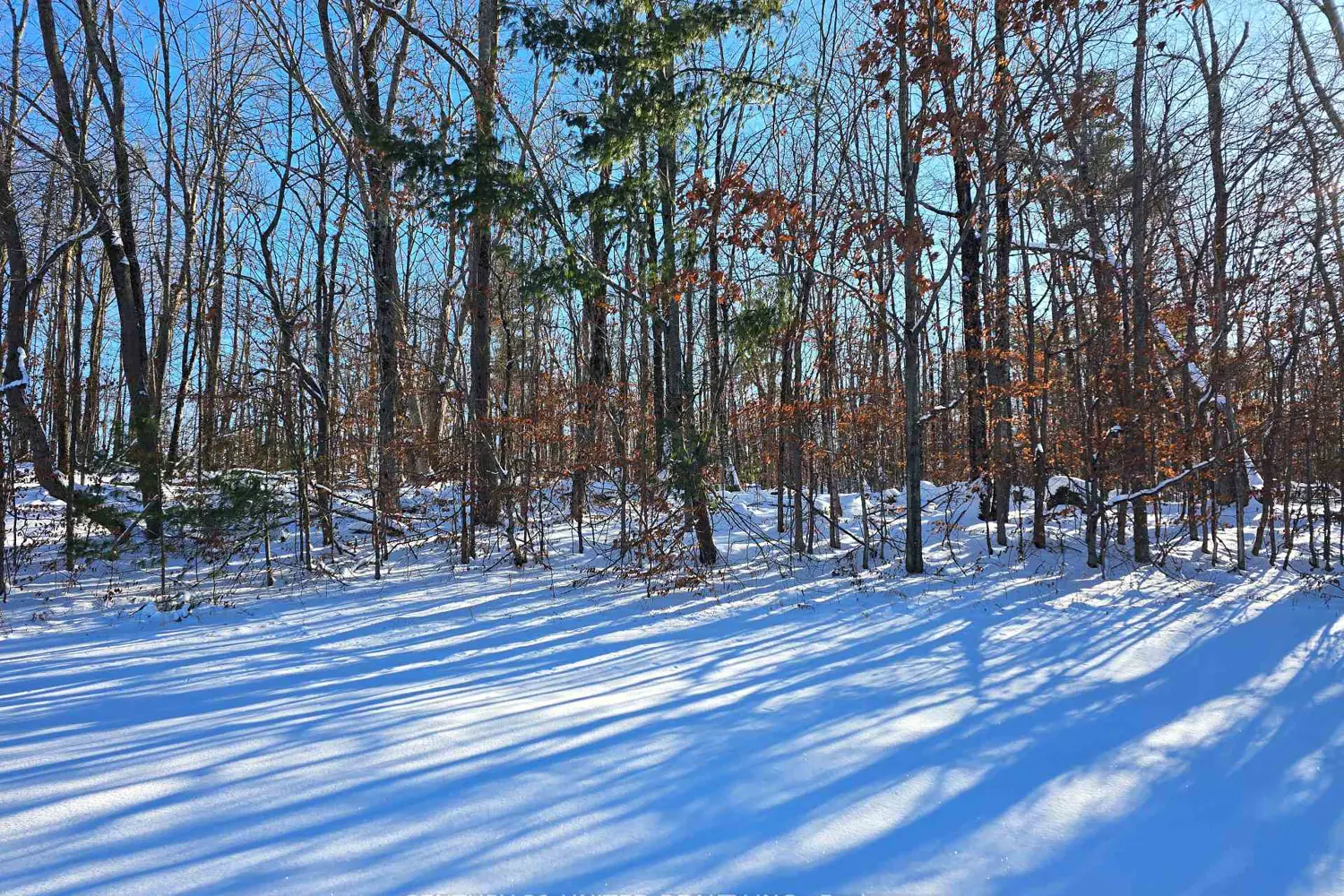 81 Vansickle Trail photo 2
