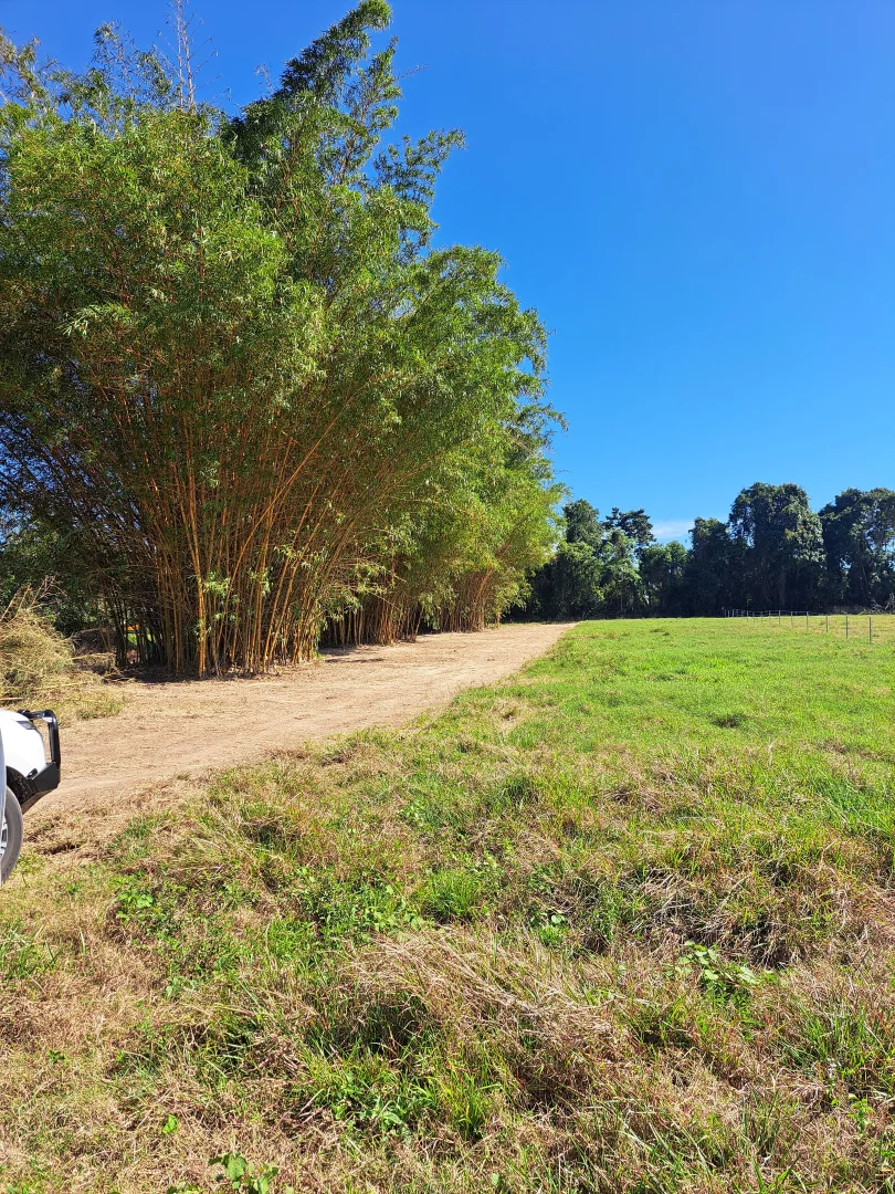 Additional image 7 of Lot 1 Ellerbeck Road, Carruchan QLD 4816