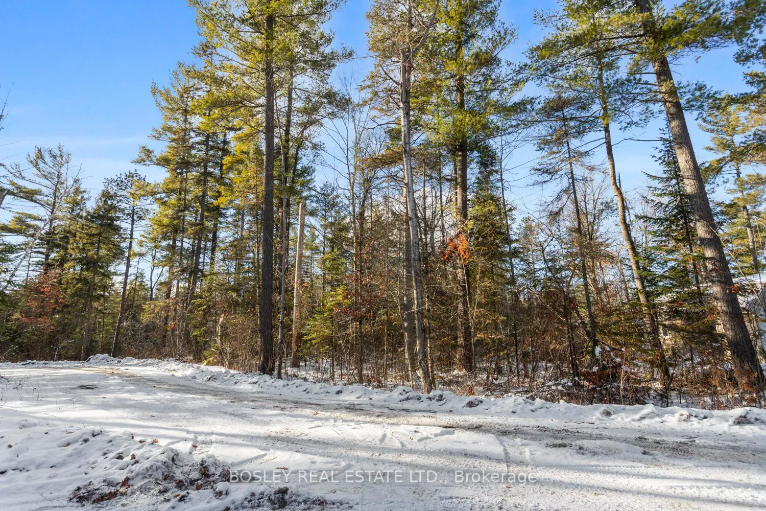 34 Pineview Court