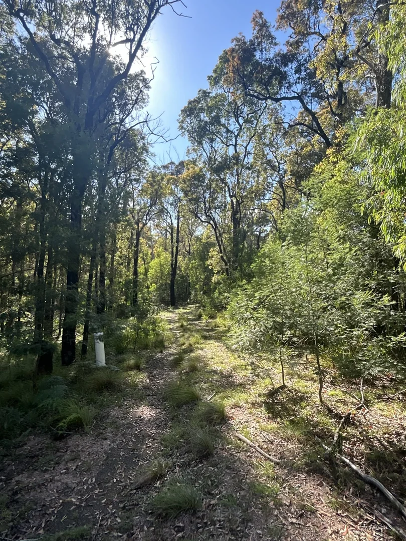 Additional image 7 of Lot 3 DP1128262 Yowrie Road, Yowrie NSW 2550