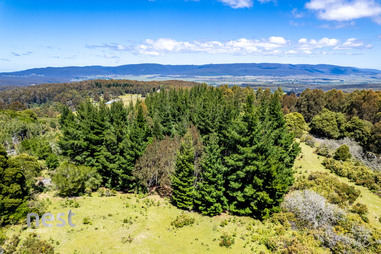 Additional image 25 of 464 German Town Road, St Marys TAS 7215