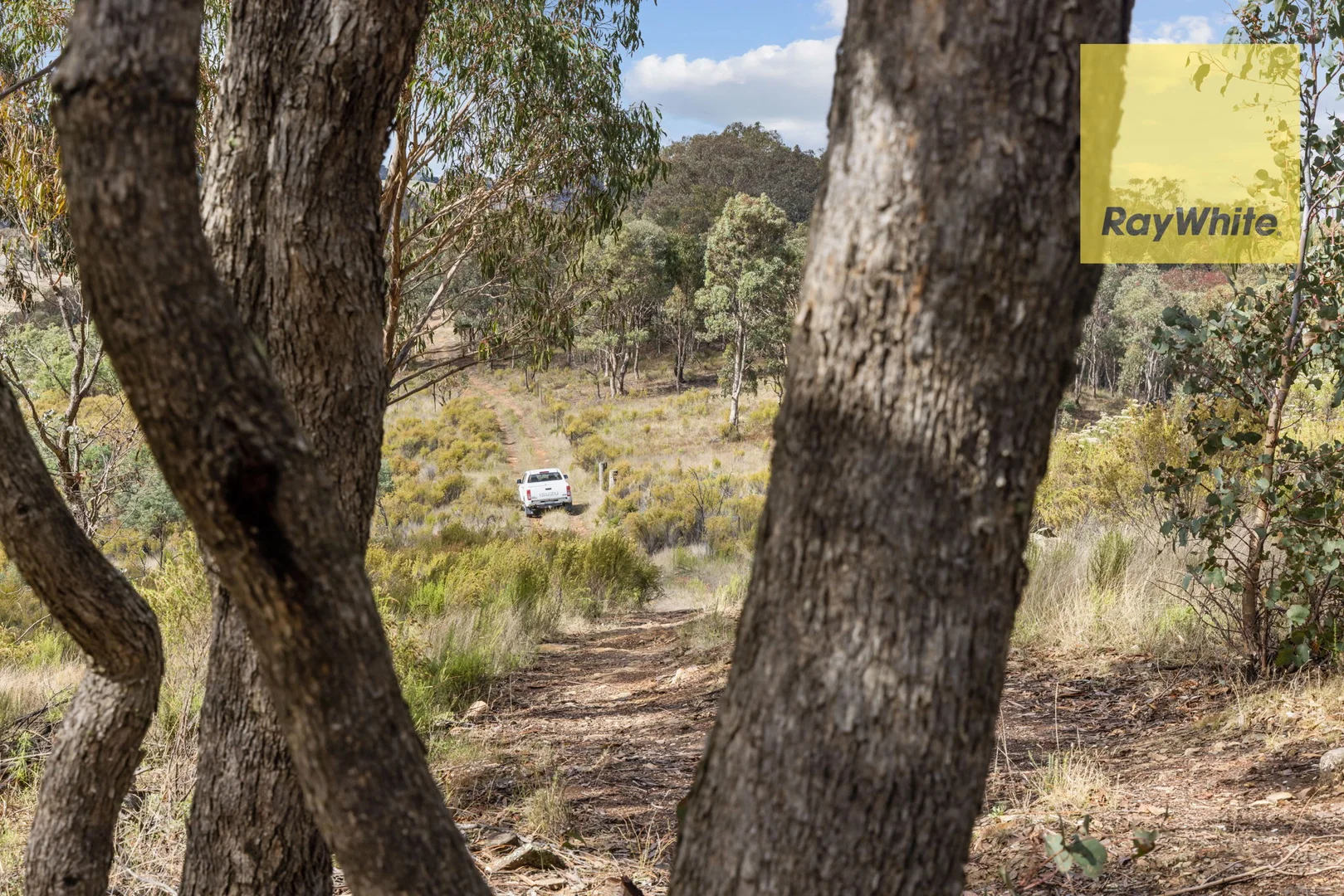 Additional image 6 of 1013 Bigga Road, Crooked Corner NSW 2583