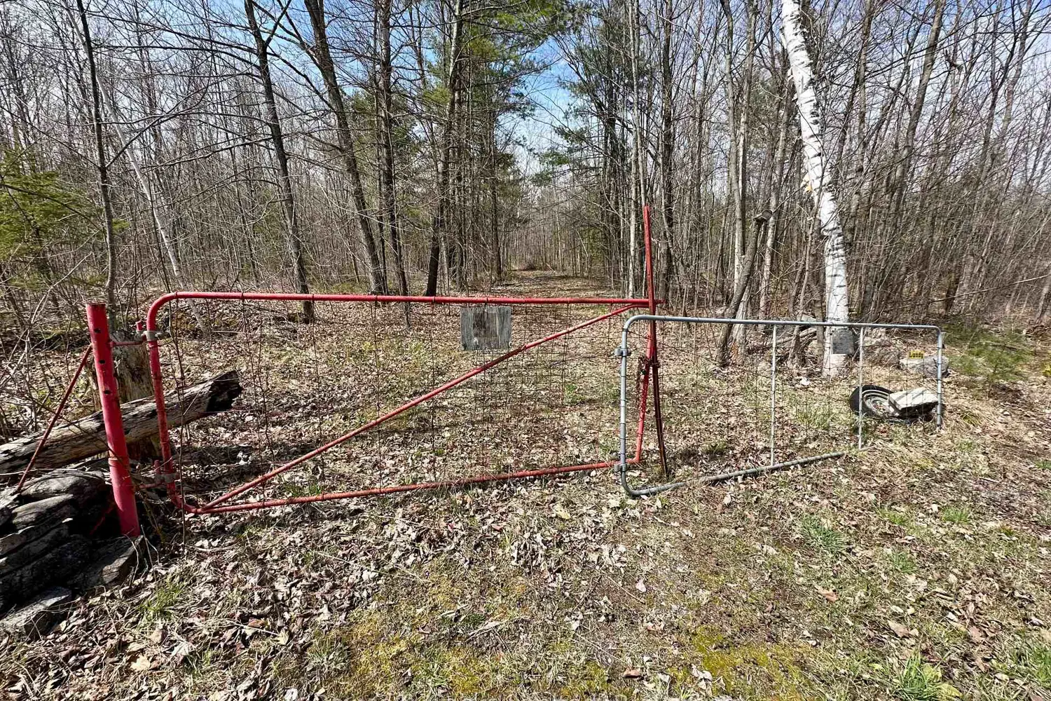 2981 County Road 44 photo 3