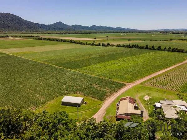 Additional image 7 of 26 Munro Road, Bellenden Ker QLD 4871
