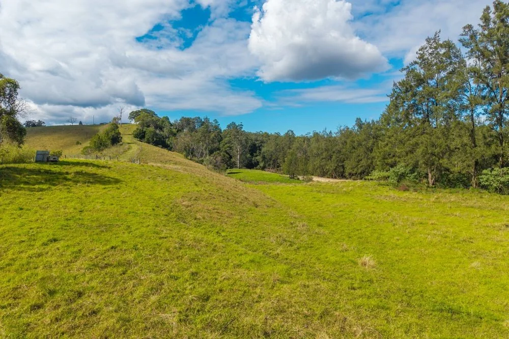 Additional image 12 of 3643 Taylors Arm Road, Burrapine NSW 2447