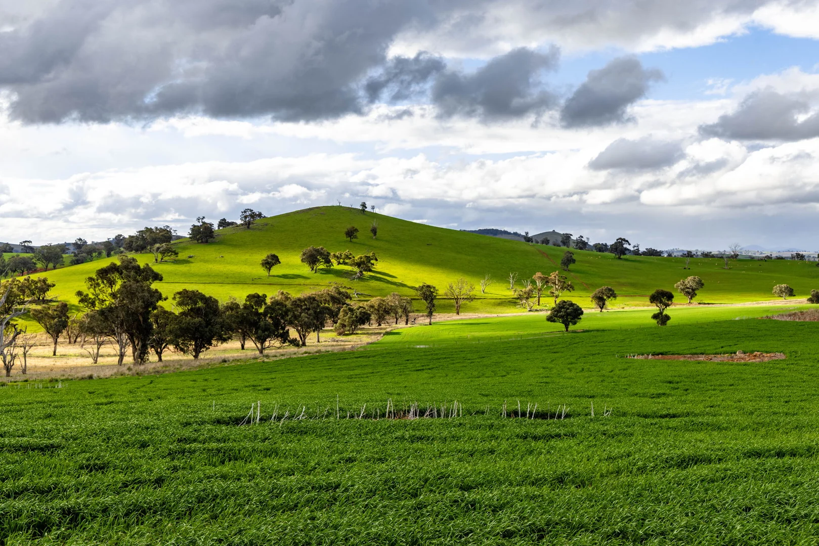 Additional image 13 of 'Darmody's', 969 Brial Rd, Boorowa NSW 2586