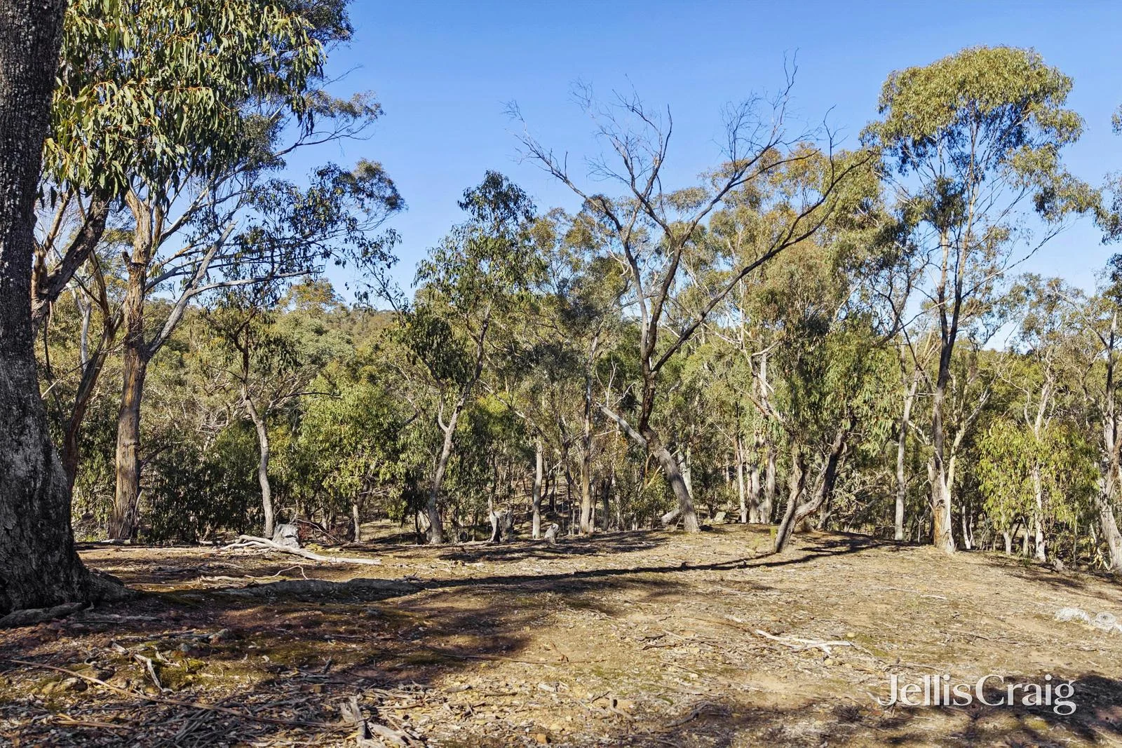 Additional image 5 of 27 Palmerston Street, Newstead VIC 3462