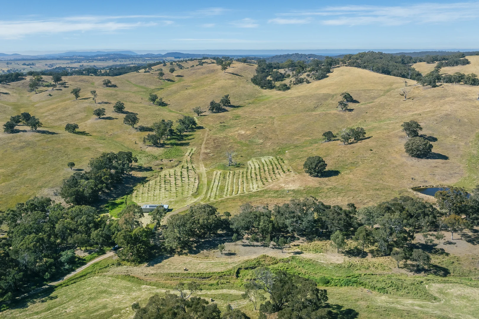 Additional image 19 of 679 Dallistons Road, Barfold VIC 3444