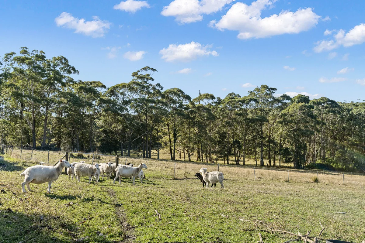 Additional image 41 of 43 The Heights, Narrawallee NSW 2539