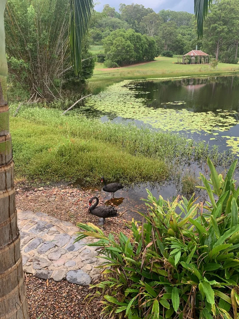 Additional image 16 of 44-47 Coucal Lane, Kin Kin QLD 4571