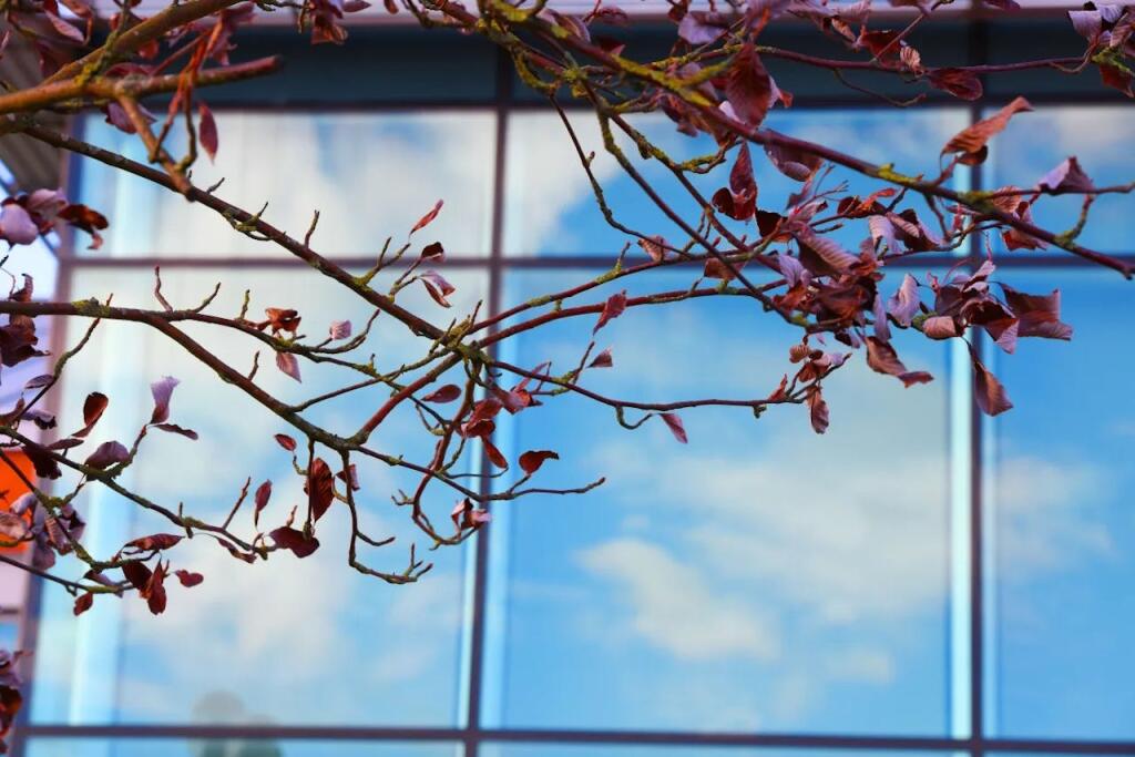 Additional image 21 of Wellington House, Starley Way, Birmingham, B37 7HB