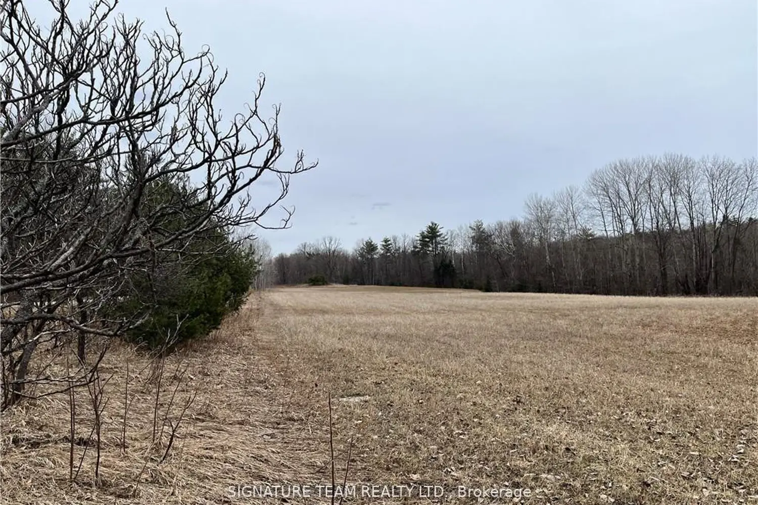 Additional image 10 of 0 Grant Settlement Road