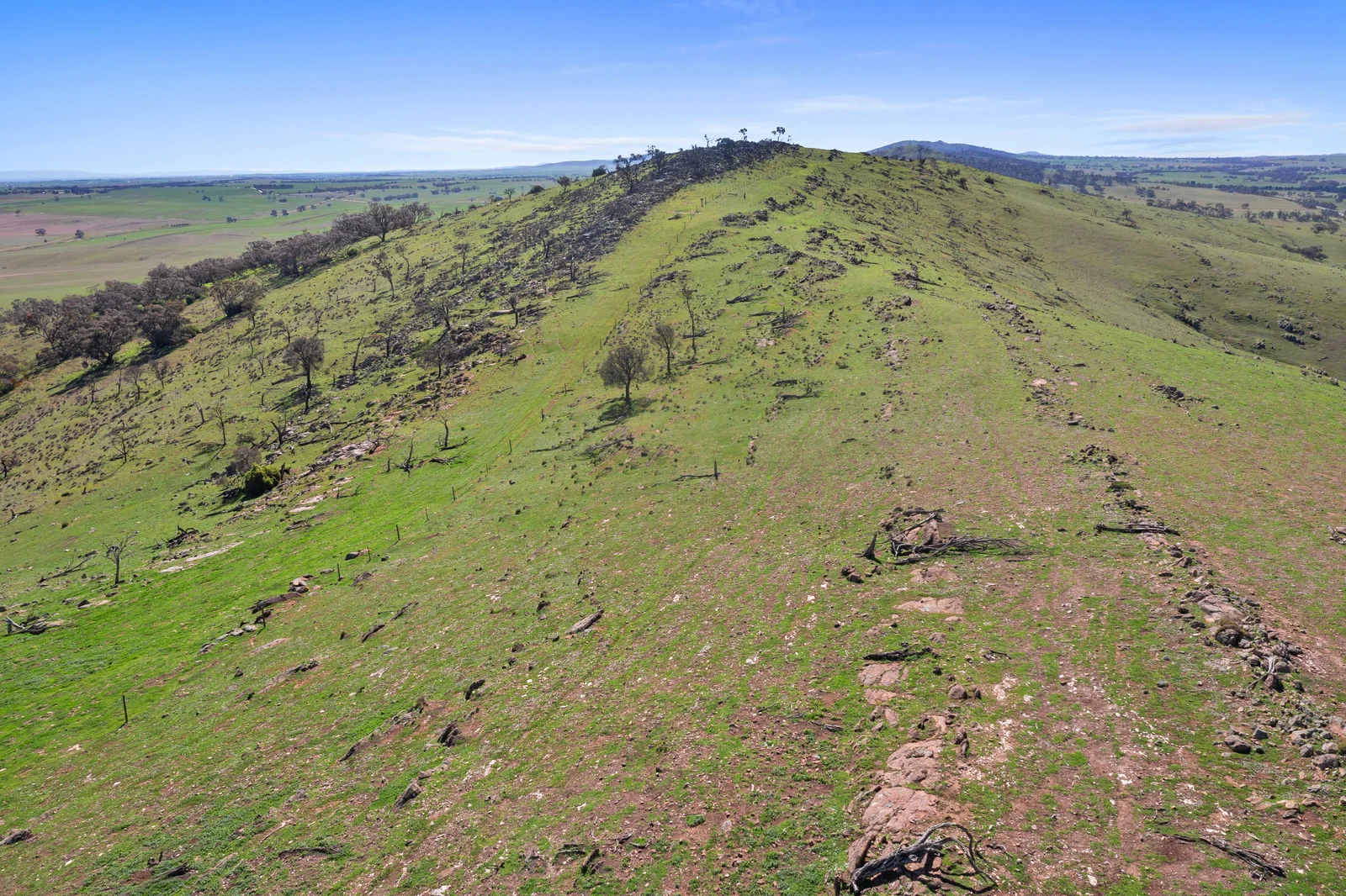 Additional image 3 of 235e Appila-Tarcowie Road, Tarcowie SA 5431