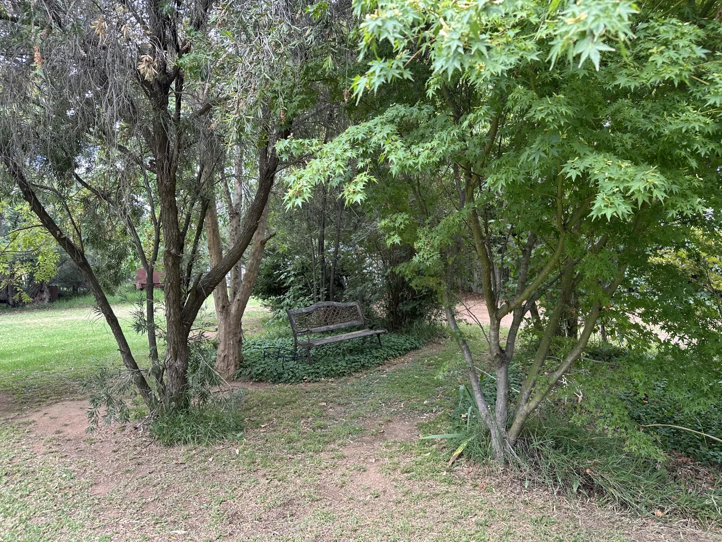 Additional image 24 of Cloudy Hill/82 Goddard Street, Coolah NSW 2843