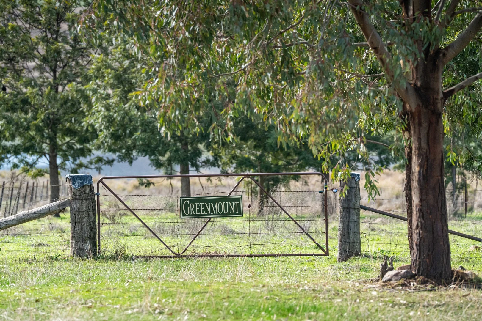 8010 River Road, Talmalmo NSW 2640