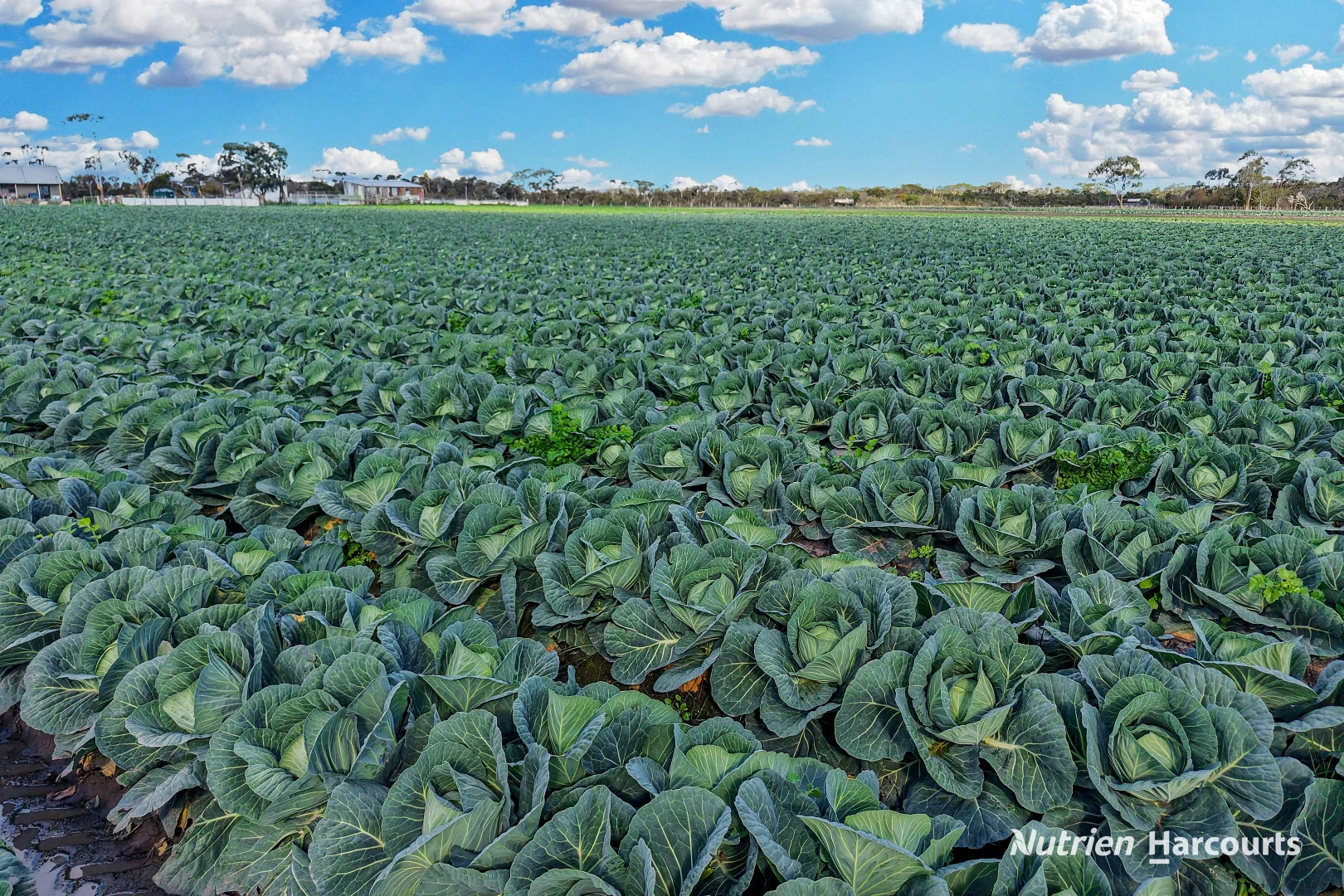 Additional image 7 of 240 Yarram Port Albert Road, Alberton VIC 3971