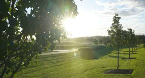 Additional image 5 of 74 Somervaille Road, Catherine Field NSW 2557