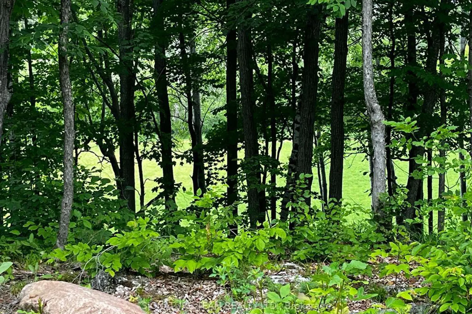 Additional image 8 of 90 Broome Road