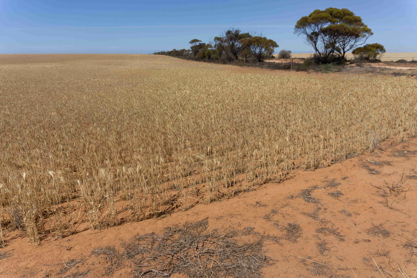 Additional image 3 of 10 Priess Road, Arno Bay SA 5603