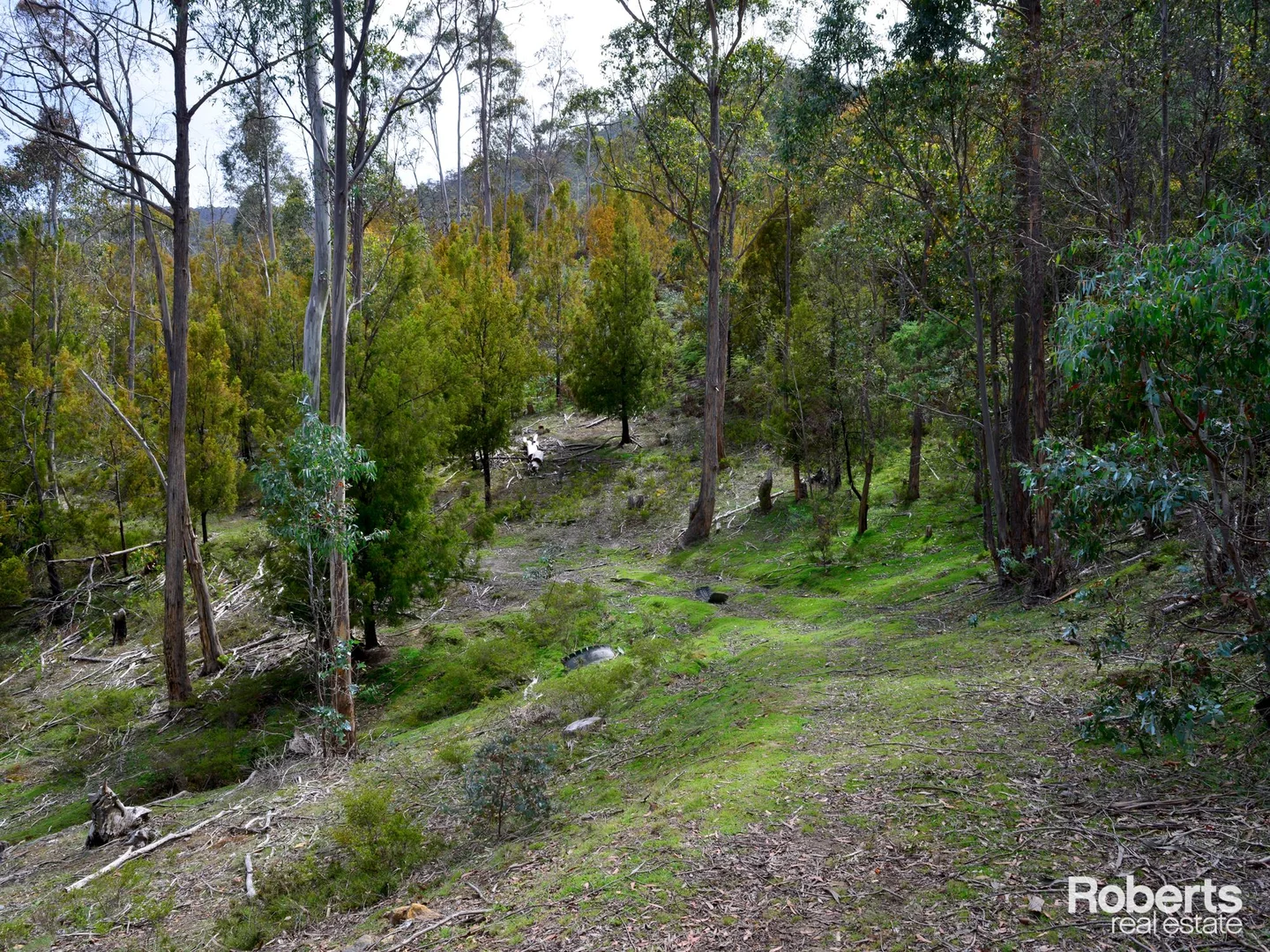 Additional image 10 of 869 Back River Road, Magra TAS 7140