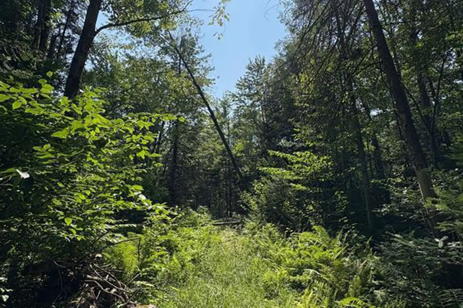 Additional image 10 of 0 Lot 1 Conc. 2 Part 4 Boundary Road