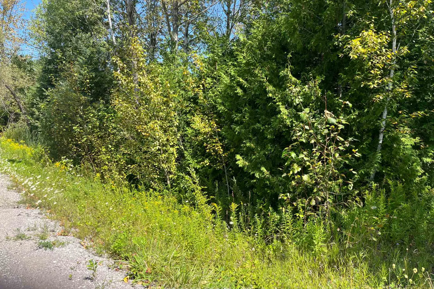 Additional image 6 of 0 Sumcot Drive