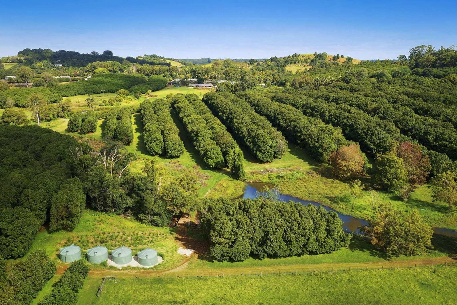 Additional image 3 of 10 Kirklands Lane, Fernleigh NSW 2479