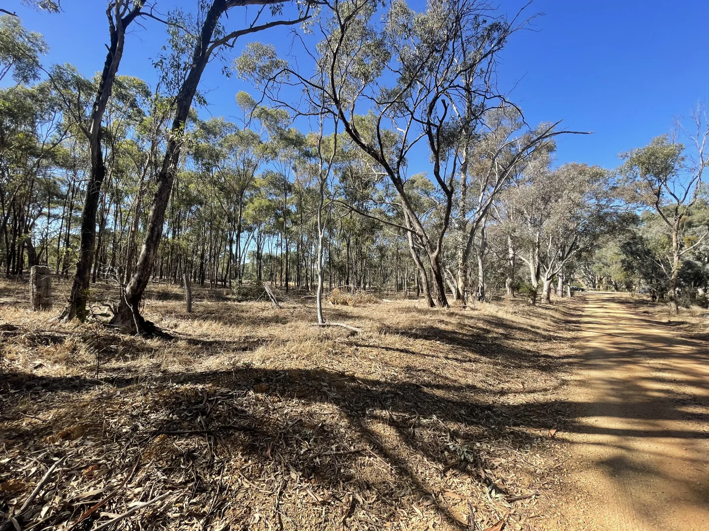 Additional image 21 of 1 Corner Wimmera Highway & Carr Road, St Arnaud VIC 3478