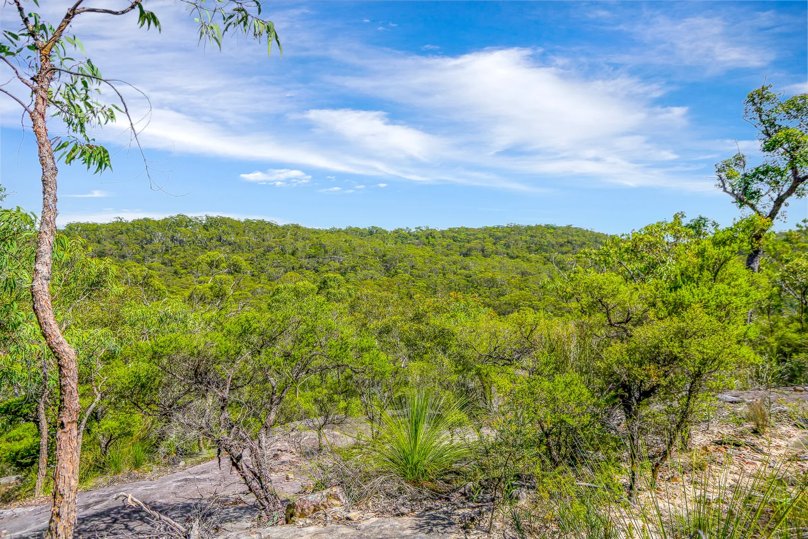 Additional image 4 of 7 Marra Avenue, Canoelands NSW 2157