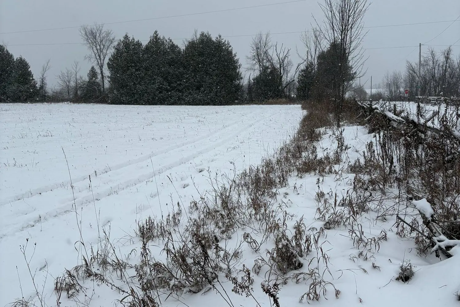 Additional image 2 of 0 Cooney Island Road