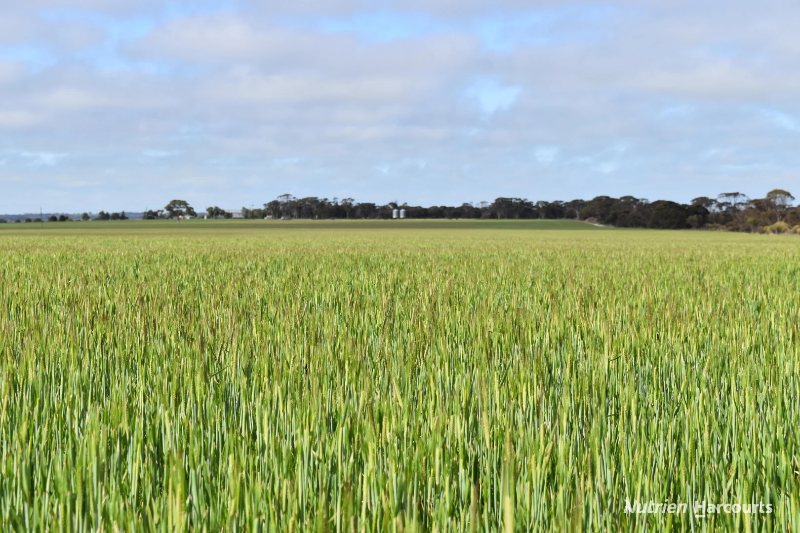 Additional image 13 of 1630 Mindarabin Road, Mindarabin WA 6336