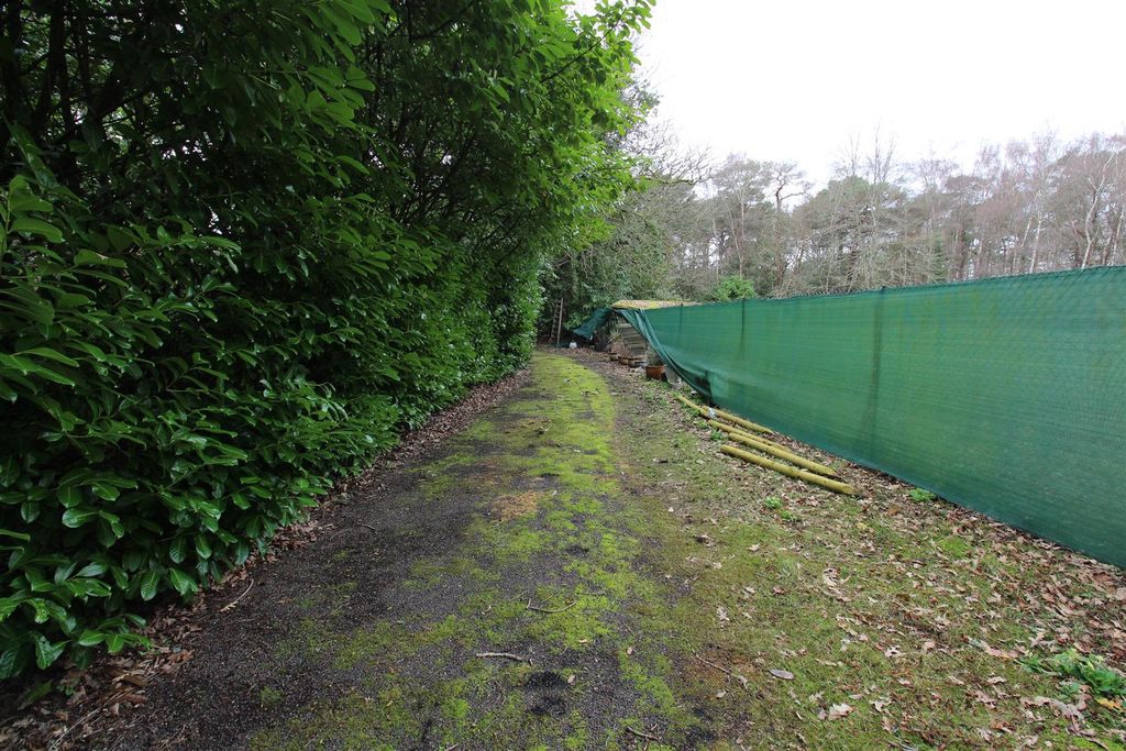 Additional image 3 of Land to rentCrawley Hill, West Wellow, Romsey SO51