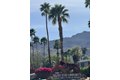 Additional image 37 of 20 Ocotillo Ln, Palm Desert, CA, 92260