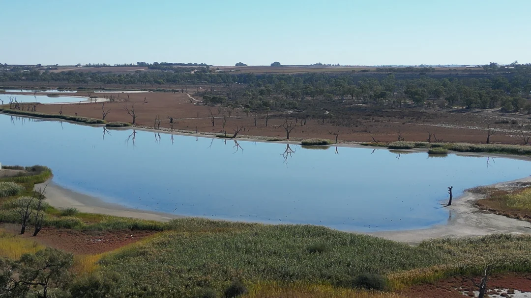 Additional image 19 of 7 The Avenue, Waikerie SA 5330