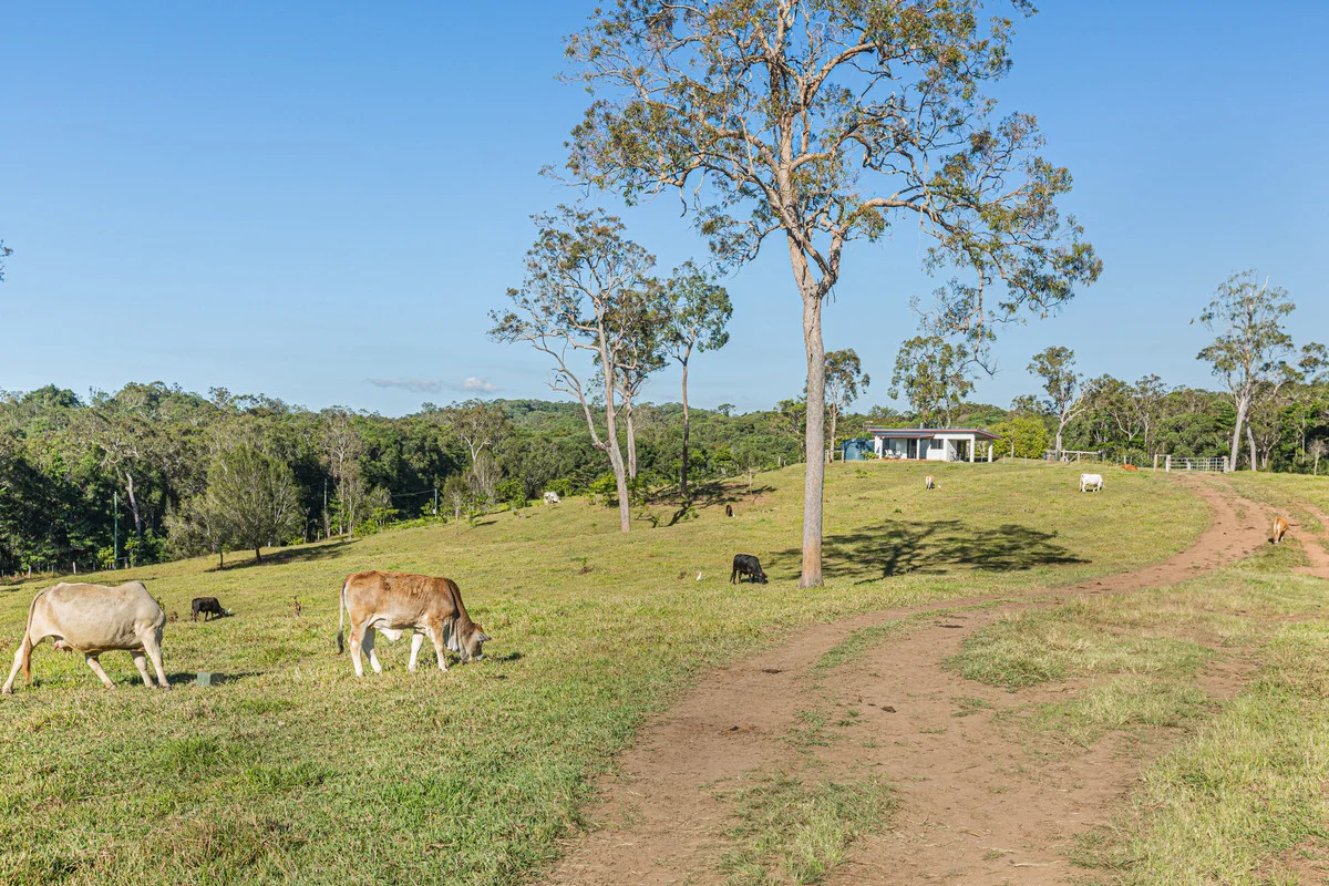 Additional image 26 of 81 Kulara Road, Barrine QLD 4872