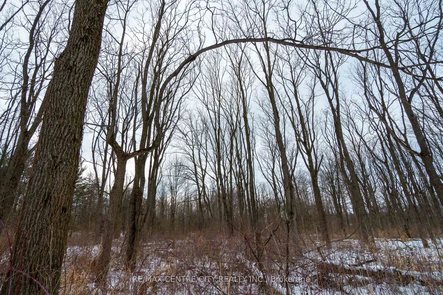 Additional image 19 of Pt Lt 24 Concession 5